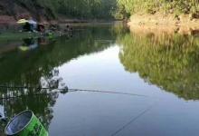 秋天夜钓是钓深好还是钓浅更爱上鱼？记住五点不会失望