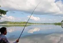 夏季高温鱼难钓，要想鱼丰必讲巧！“吃透”这4招，轻松撬开鱼嘴