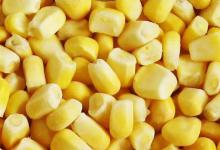 为什么许多钓友用玉米挂钩钓鱼从没有钓到过大鱼？原因在这里