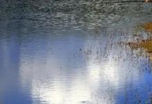 夏季钓鱼，选对天气是关键，遇到4种适合的钓鱼天，才会有好鱼获