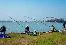 夏季钓大鱼有门道，告诉你需要掌握的要领和技巧