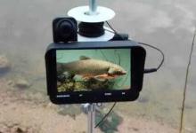 越来越多钓友用这个装备之后鱼获满满，是否预示将来无鱼可钓了？