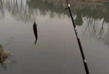 矶竿滑漂荡抛方法和技巧，让矶竿滑漂玩出手竿的感受