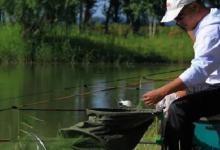 夏季钓鱼要钓深？千万别“盲选”，这3种情况，浅水鱼比深水多