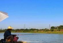 夏季钓鱼，只需改正这几个细节，新手也可连竿，大鱼小鱼上不停