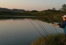 夏季炎热，还在死守全天？这几个时间才是爆护的高峰期，勿跑空