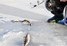 难道只有执着钓友才会去冰钓吗？其实冰钓不难