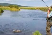 春野钓大板鲫，这3个地方才是“主战场”，不用打窝也能爆护