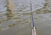 常年钓闷竿钓友的宝贵经验，看了胜钓十年鱼