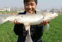 野钓，真的是一个无人管的“野孩子”吗？谁能帮他们？