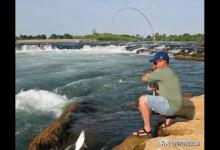 你还在为急流有鱼而无从下手吗？那么看这里，了解它你会得心应手