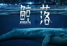 神奇的“鲸落”，深海中的造物主，居然能维持一套分解系统近百年