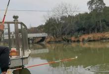 野钓有口却遇杆杆空枪，原因到底出在哪？稍做调整，鱼口立马出来