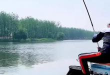 邓刚野钓鲢鳙，渔政驾驶“豪华大游轮”前来，终于看到邓刚被盘了