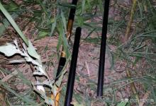 一天钓580斤！日钓一千斤不是梦，难怪“砖家”说钓鱼也是在猎捕