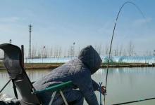 如果用野钓的办法钓黑坑，到底可行不可行，自身体验告诉你答案