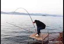 格局！钓到价值几万的百斤巨物，只为拍照留念，随后说放就放