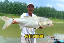 钓鲢鳙的5个要诀，想要钓得多，这5个方面很关键