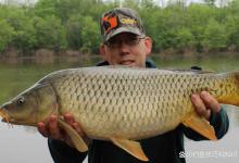 如何才能钓到野生大鱼？野钓大鱼的4个要领