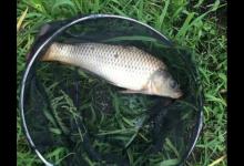 大师黑坑钓技分享，助君爆护