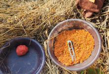 野钓没口时你是否会过于纠结饵料和调钓？