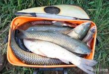 夏季钓鱼6字诀，只要找准方法，再热都可以钓鱼