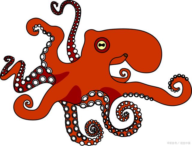 章鱼是一种智慧和神秘的海洋生物,生活在世界各地的海洋_鱼类百科_爱