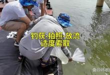 吃得完吗？上万斤鲫鱼放生，有人一天的渔获就高达200斤！