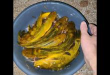 小伙钓鱼却进了医院，网友：我也遭遇过！