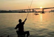 为什么钓鱼总要钓一条收杆鱼？收杆鱼又为何如此难钓？