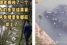 福建一鱼塘刚没收鱼竿，今天就被清了塘！到底是为什么？