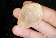 青鱼身上有宝贝！据说比鱼肉还要值钱，据说堪比宝石！