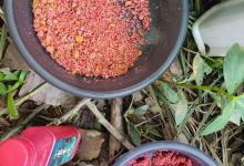 野钓鲫鱼用什么窝料、什么饵料和用用多长竿最好？