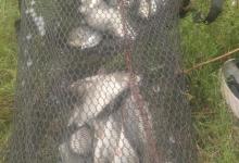 钓鱼人的无奈与喜悦，这才是垂钓的魅力！