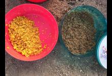 钓鱼时，配制饵料应遵循哪些原则？