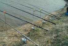 流水作钓常常令人无法适应，我一般先去这两种地方试试