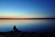 夏季夜钓，鱼群就在水面上却不开口，该怎么钓？