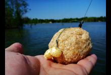 一款成功的饵料往往具备两个特点——成分合适、状态合适