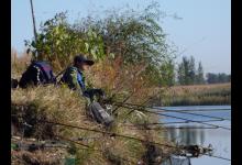 我每天能从钓友那得到上百条钓鱼讯息，慢慢学会了去伪存真……