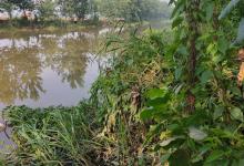 野钓新手钓鲫鱼要注意哪些？