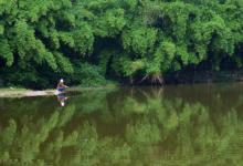 父亲的鱼塘，不仅鱼儿肥硕，更有浓得化不开的父爱