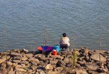 用什么饵料钓黄骨鱼最有效，钓这种鱼还有哪些建议可以分享？