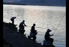 钓鲫鱼时，新手们时常困惑的提竿时机该怎么把握？