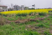 有哪些钓鲫鱼的技巧