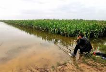 水底淤泥过多时，是否影响钓鱼？