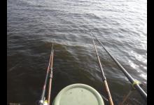 调三钓三如何知道钩上有没有饵？