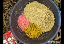 怎样才能把鱼诱到窝子里？