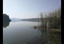 作为一个钓鱼新手，怎么才能成长为老钓手？