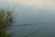 钓鱼人说的“灵”到底是啥意思？中鱼率高就代表钓组足够灵吗？