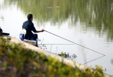 我目睹的经历——短竿的优势